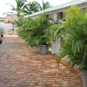 Dancing Iguanas Aparthotel